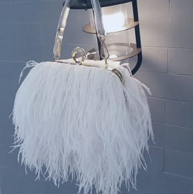Ostrich Feather Clutch